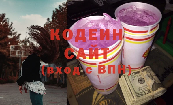 сатива Покачи