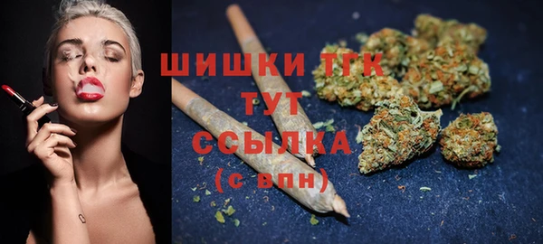 дмт Алексин