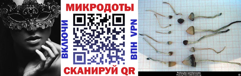 blacksprut зеркало  купить наркотик  Байкальск  Псилоцибиновые грибы GOLDEN TEACHER 